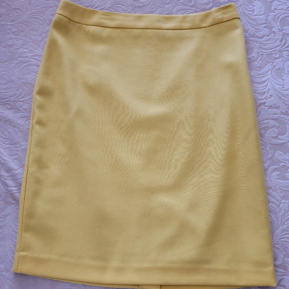 CAbi skirt